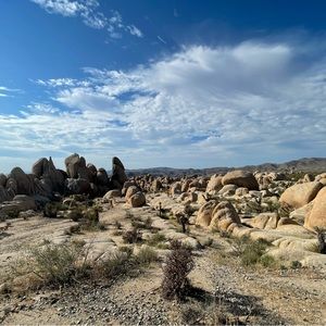 Meet your Posher, Araceli